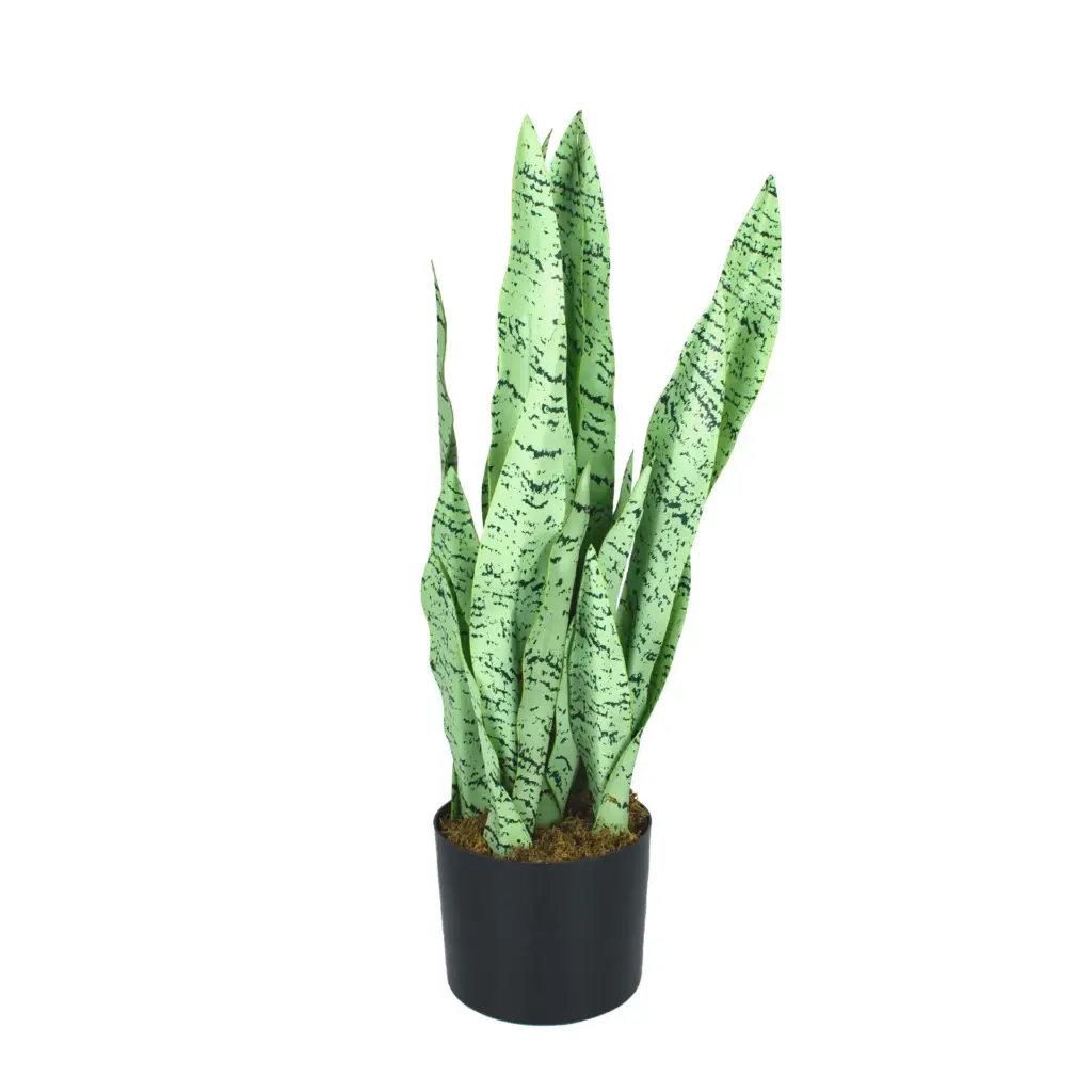 Artificial plant Engard “Sansevieria”, 65 cm