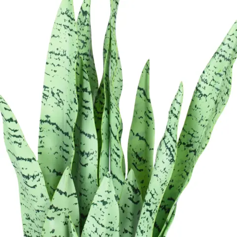 Artificial plant Engard “Sansevieria”, 65 cm