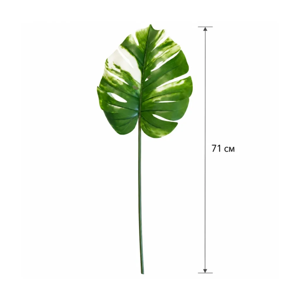 Artificial leaves Engard Monstera Alba, 71 cm