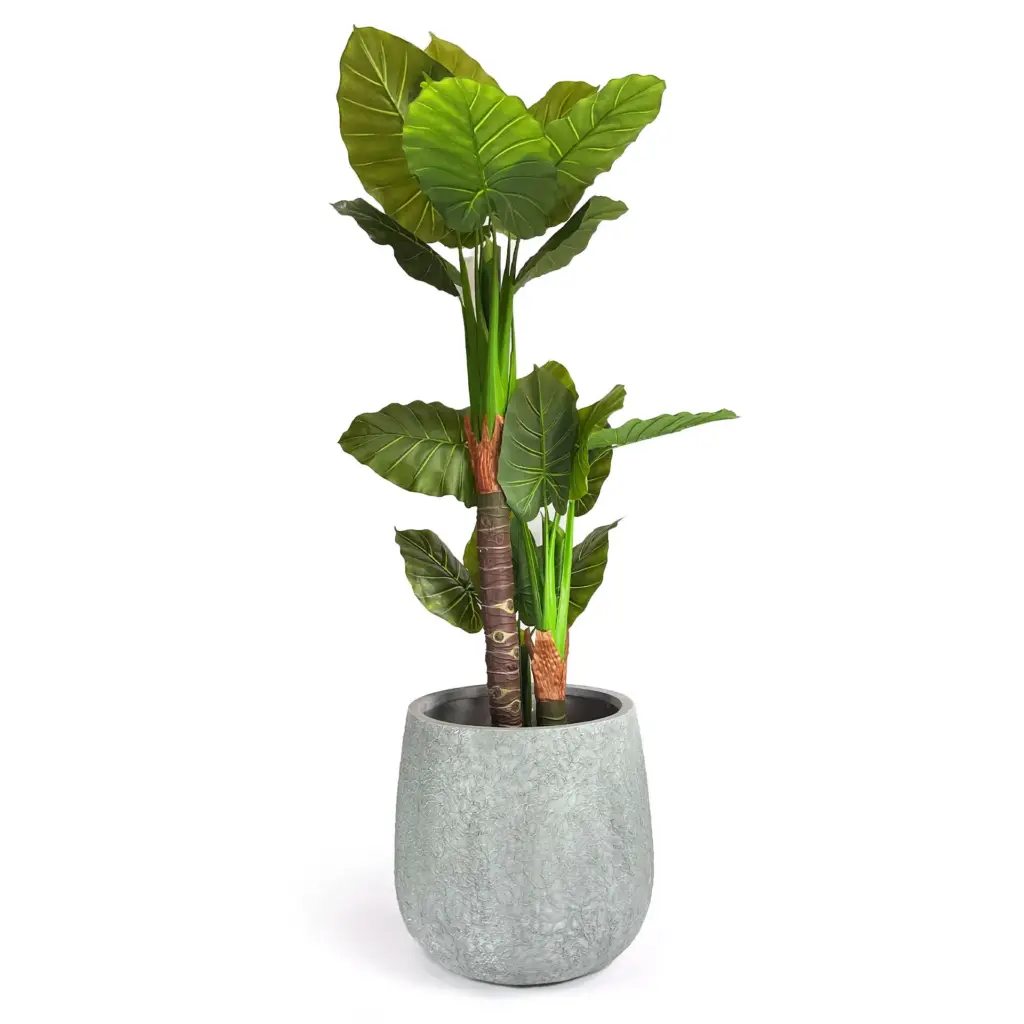 Decorative planter Engard “Sintra”, 59.5×59.5×58 cm