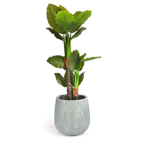 Decorative planter Engard “Sintra”, 59.5×59.5×58 cm