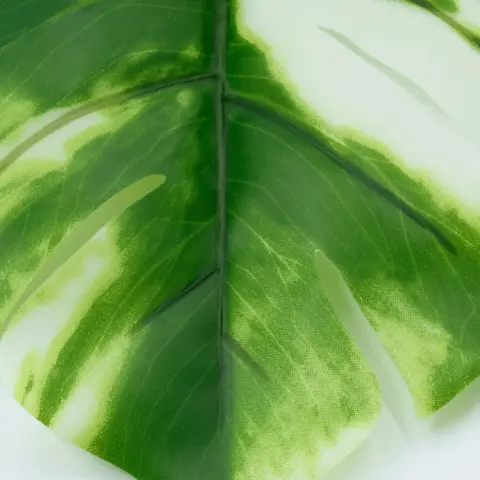 Штучне листя Engard Monstera Alba, 71 см