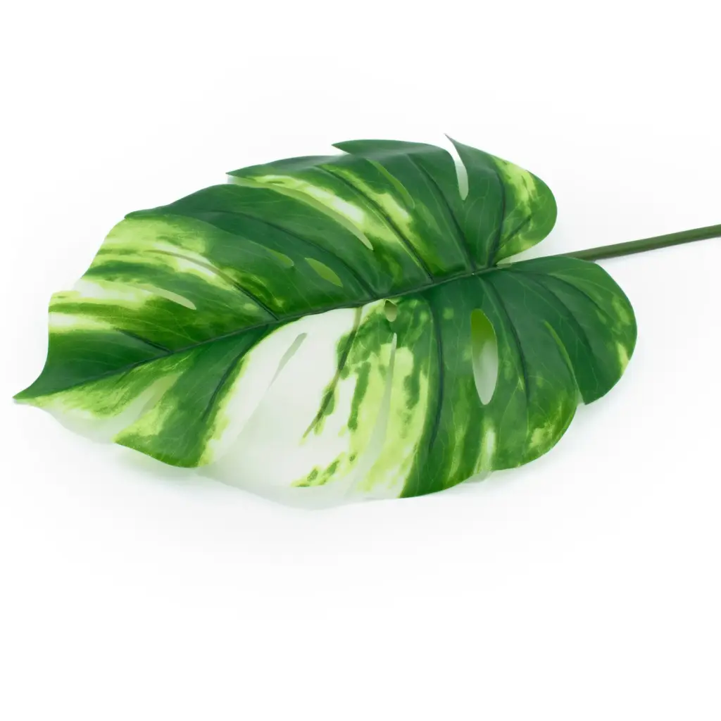 Штучне листя Engard Monstera Alba, 71 см