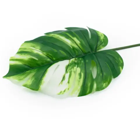 Штучне листя Engard Monstera Alba, 71 см