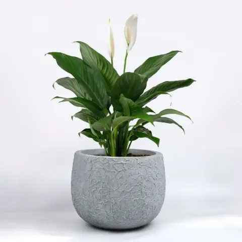 Decorative planter Engard “Faro”, 32.5×32.5×25 cm