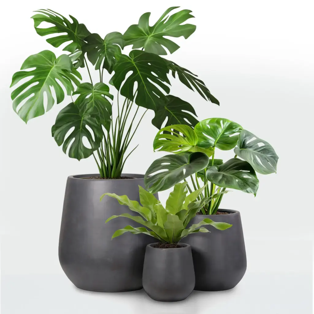 Decorative planter Engard “Budva”, 32x32x32 cm